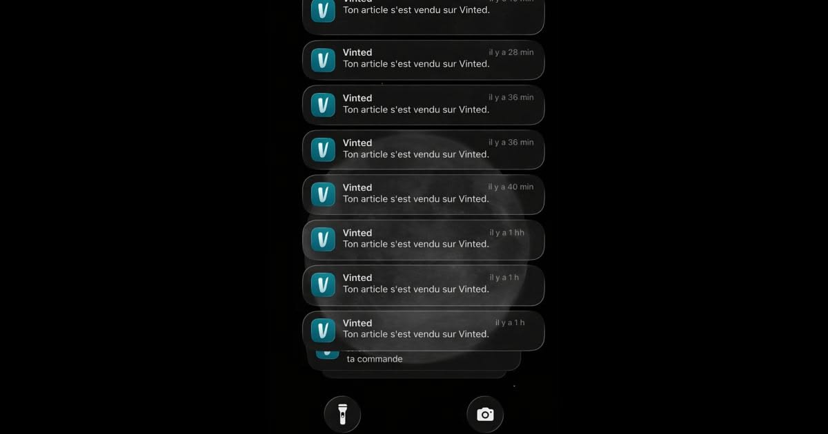 Resultado Vinted Miguel J.